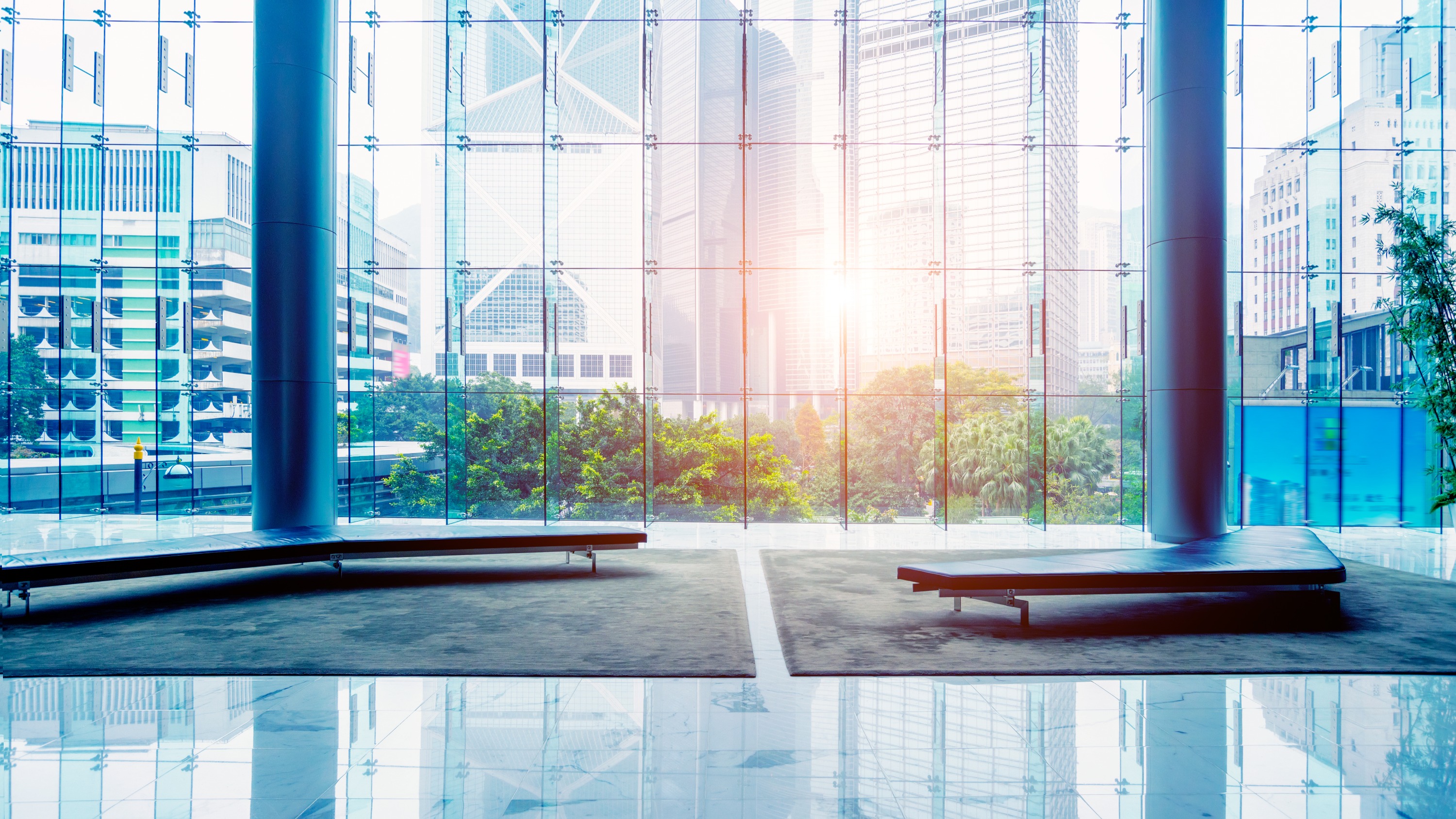 Cleaning services in action